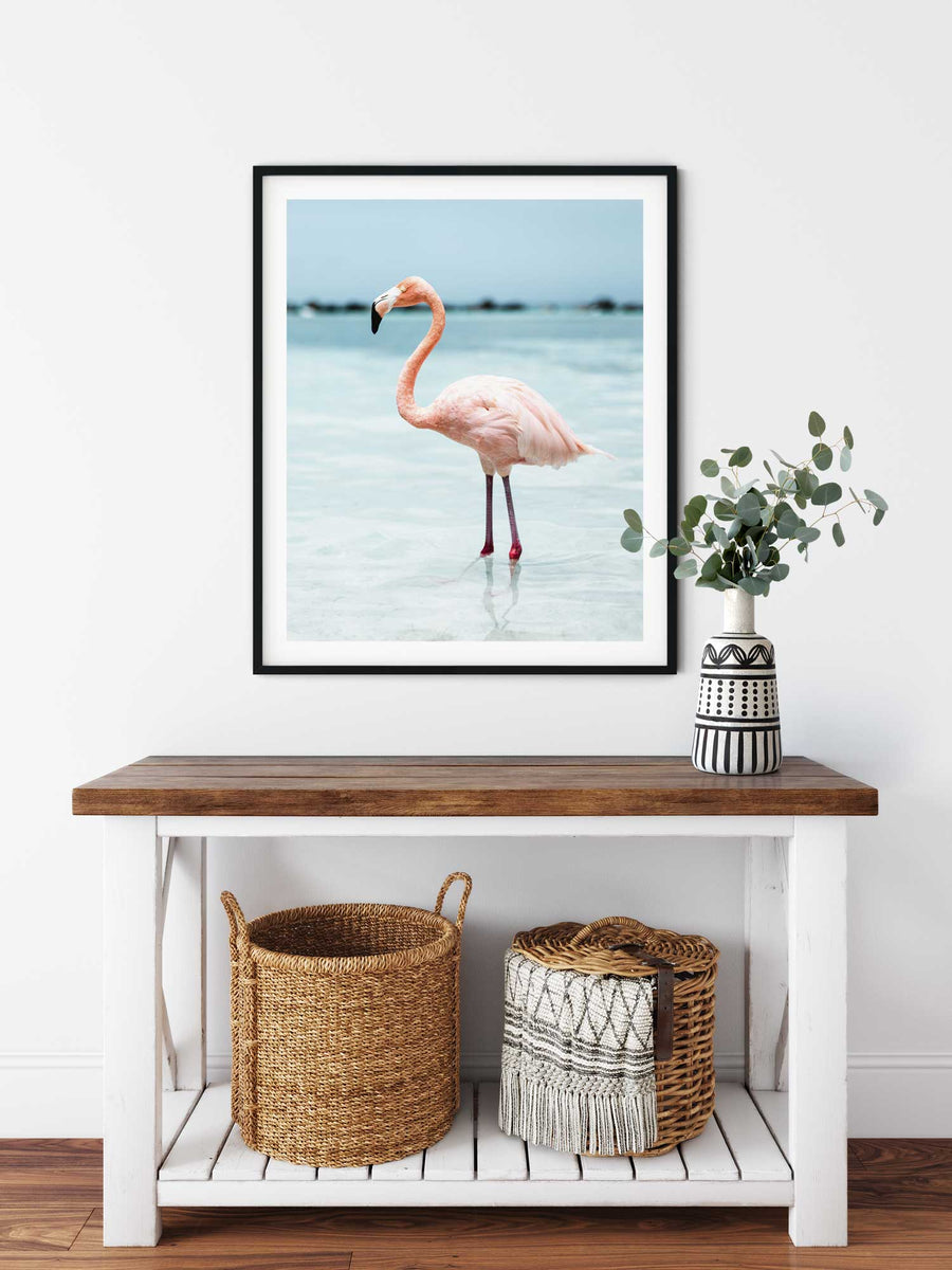 Flamingo II Art Print