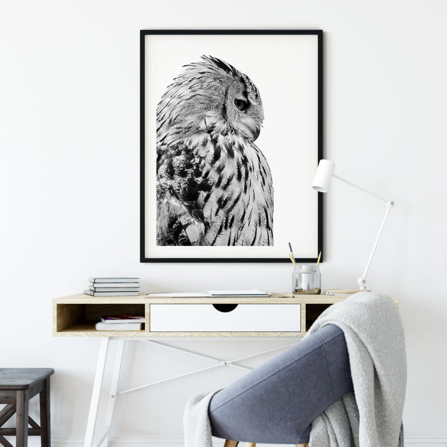 Snow Owl  Art Print